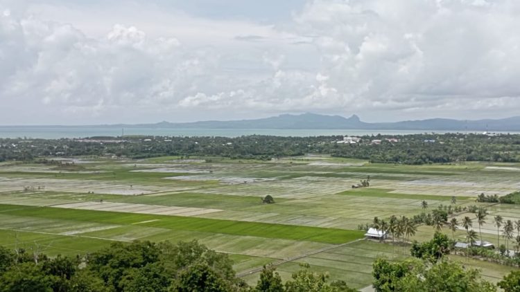 Ini Faktor Permasalahan Produksi Petani Menurun