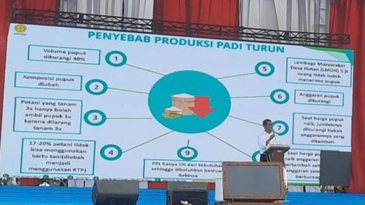 Pupuk Subsidi Bisa Ditebus dengan KTP