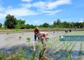 Petani Babau: Kami Ditinggalkan…