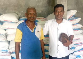 Kabar Gembira! Pupuk Subsidi Sudah Tersedia di Pengecer