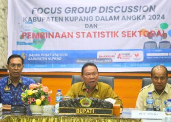 Kabupaten Kupang Fokus Pertajam Akurasi Data untuk Perencanaan Pembangunan