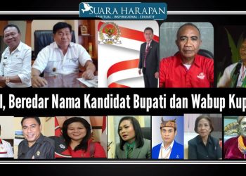 Beredar Nama Kandidat Bupati dan Wabup Kupang, Siapa Saja Mereka?