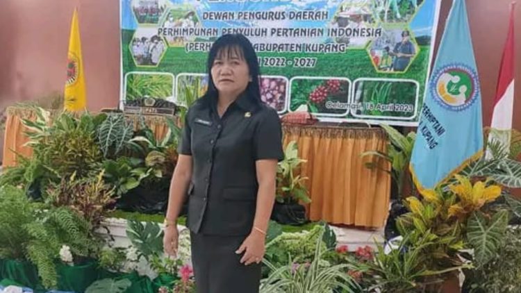 Amin Juariah, STP, MM: Kartini Membawa Perubahan Luar Biasa Buat Perempuan Masa Kini