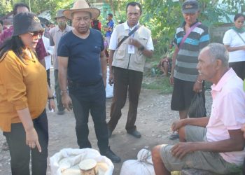 Alexon Lumba Tinjau Pasar Lili, Pantau Harga dan Antisipasi Inflasi