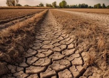 NTT Berpotensi Alami Kekeringan Ekstrem Hingga Oktober