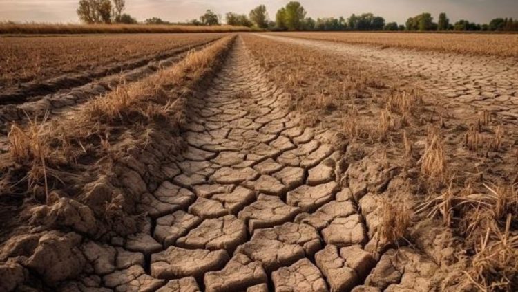 NTT Berpotensi Alami Kekeringan Ekstrem Hingga Oktober