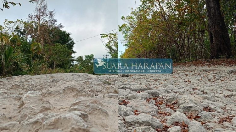 Jalan Rusak di Enam Desa Kecamatan Nekamese, Warga: ‘Ibu Hamil Bisa Melahirkan di Jalan’