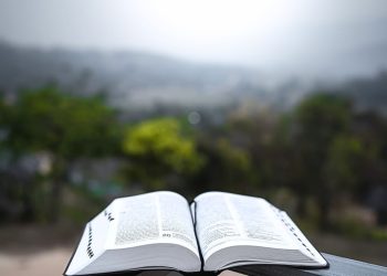 Bahan Khotbah Minggu dan Bulan Pendidikan GMIT, 7 Juli 2024