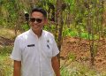 Dukungan Kris Kapitan Mengubah Nasib Petani Tomat di Oesao
