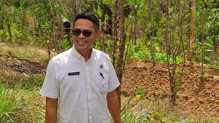 Dukungan Kris Kapitan Mengubah Nasib Petani Tomat di Oesao