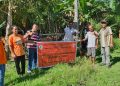 Bumdesma Amarasi Barat Dorong Pemberdayaan Ekonomi Melalui Program Dana Bergulir Peternakan Terpadu
