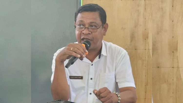 Dari Perkebunan Menjadi Sentra Hortikultura: Kisah Transformasi Desa Besmarak