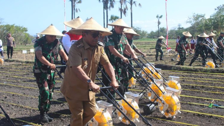 TNI AD dan Pertamina Wujudkan Harapan Warga Desa Manusak