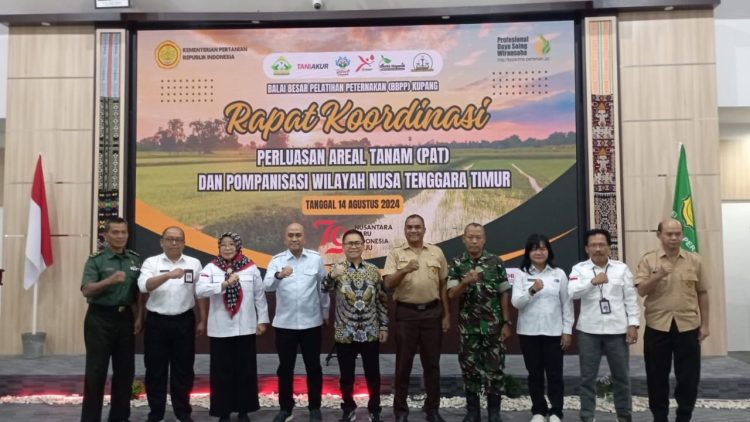 Strategi Kementan Tangani Krisis Pangan, Pompanisasi Jadi Solusi