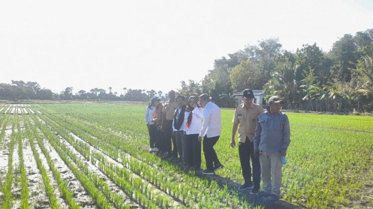 Tenaga Ahli Menteri Pertanian Tinjau Program PAT dan Pompanisasi di Kabupaten Kupang