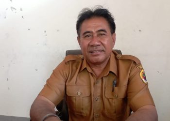 Kepala Desa Poto Genjot Pembangunan Infrastruktur dan Pertanian