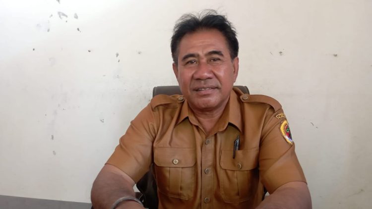 Kepala Desa Poto Genjot Pembangunan Infrastruktur dan Pertanian