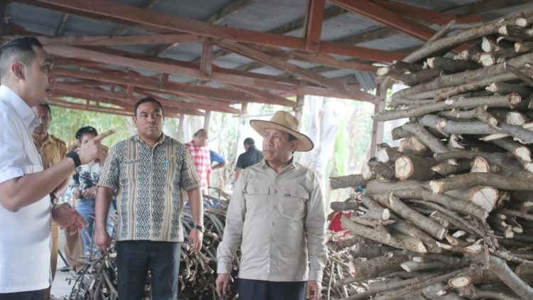 Kerjasama Pemkab Kupang dan PT Timor Bio Energy Kembangkan Program Emas Hijau