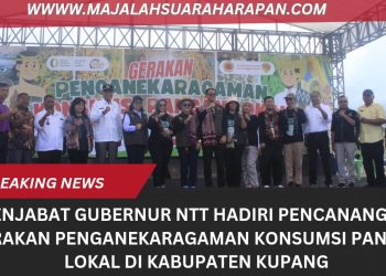 PJ.GUBERNUR NTT HADIRI PENCANANGAN GERAKAN PENGANEKARAGAMAN KONSUMSI PANGAN LOKAL DI KAB. KUPANG