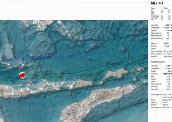 Breaking News! Gempa Guncang NTT