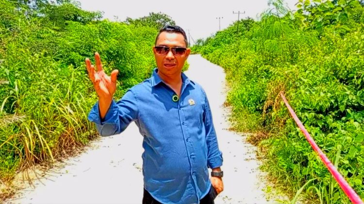 DPRD Kabupaten Kupang, Rildiyani Amtiran Melakukan Peninjauan terhadap Lokasi Longsor di Amarasi Barat
