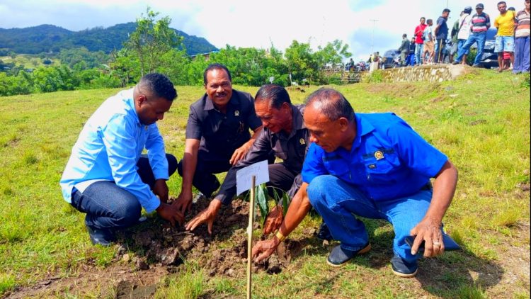 Fraksi PKB Peduli Lingkungan Dukung Pemkab Kupang dalam Aksi Penanaman 10.000 Pohon di Amfoang