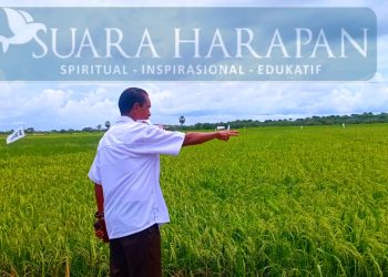 Arnolus Mooy, DPRD Kabupaten Kupang Manfaatkan Curah Hujan Mengolah Sawah 20 Hektare