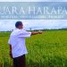 Arnolus Mooy, DPRD Kabupaten Kupang Manfaatkan Curah Hujan Mengolah Sawah 20 Hektare