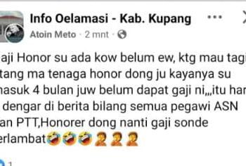 Empat Bulan, Honorer di Kabupaten Kupang belum Mendapatkan Upah