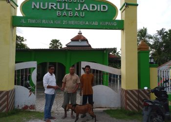 Anggota DPRD Kabupaten Kupang, Mesak Mbura, S.H., dengan Penuh Rasa Syukur Menyerahkan Hewan Qurban kepada Pengurus Qurban Masjid Nurul Jadid