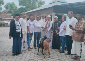 Penyerahan Hewan Qurban oleh Partai Perindo di Kabupaten Kupang adalah Contoh Nyata Dalam Memaknai Hari Raya Idul Adha