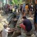 Gotong Royong Kelompok P3A “Dahulu Rasa” Memperbaiki Saluran Irigasi Primer