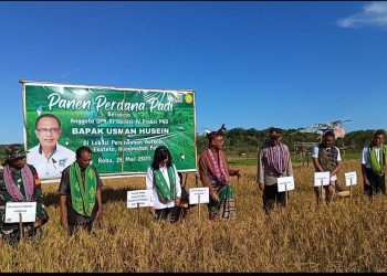 Usman Husin, Anggota DPR RI, Komisi IV Fraksi PKB; Amfoang Perlu Perhatian Khusus