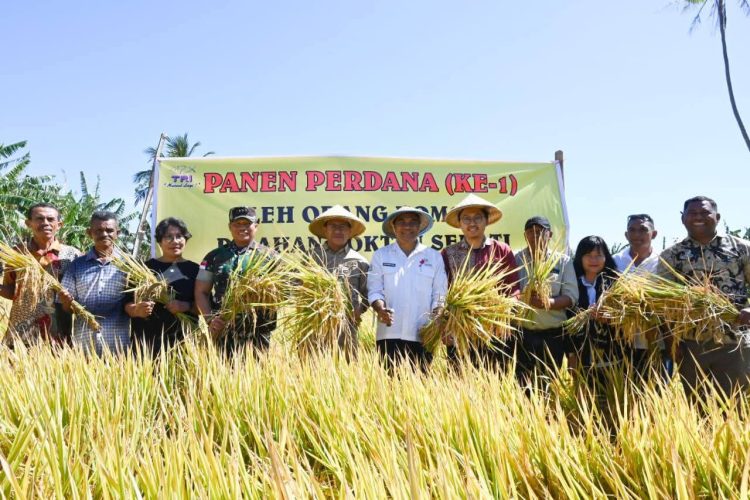 Bupati Kupang Panen Padi di Desa Mata Air