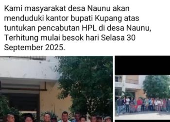 Breaking News! Akhir  September 500 Masyarakat Desa Naunu Berencana Menggelar Aksi Protes di Kantor Bupati