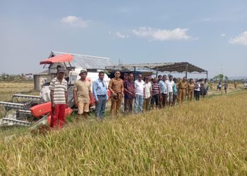 Panen Raya Padi,  Petani Mengharapkan Air Refak “dilirik” dan dimasukkan dalam Program Percetakan Sawah Baru dari Bupati Kupang