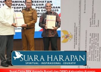 Surat Cinta BPK Kepada Bupati dan DPRD Kabupaten Kupang Terhadap Hasil Kinerja  Pembangunan Manusia di Bidang Kesehatan 