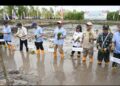 DUKUNG SWASEMBADA BERKELANJUTAN, BUPATI KUPANG, GUBERNUR DAN WAKIL GUBERNUR NTT, SERTA KETUA DPRD PROVINSI NTT TANAM PADI PERDANA PERCETAKAN SAWAH BARU DI MANUSAK