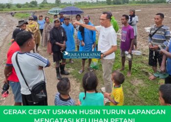 Gerak Cepat Usman Husin Turun Lapangan Mengatasi Keluhan Petani di Kabupaten Kupang