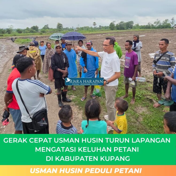 Gerak Cepat Usman Husin Turun Lapangan Mengatasi Keluhan Petani di Kabupaten Kupang