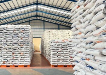 Stok Beras Nasional Aman hingga 324 Hari ke Depan