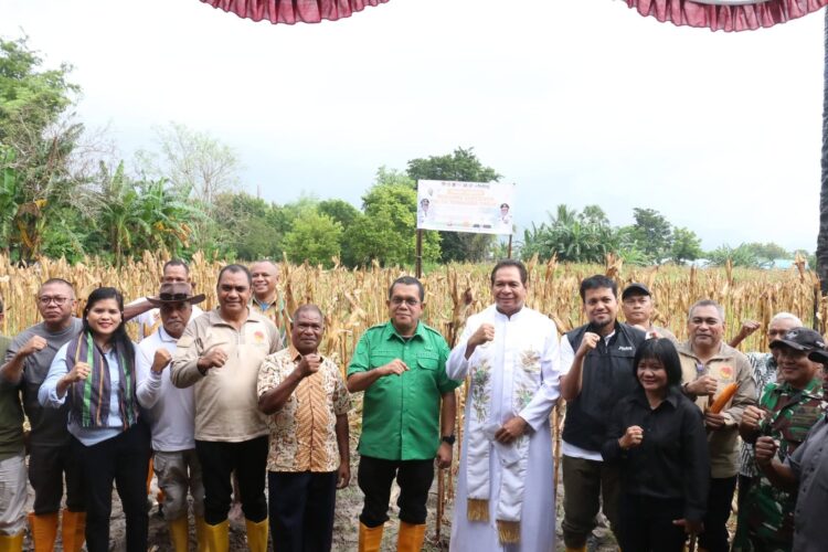 Panen Jagung Simbolis di UPTD Kesejahteraan Sosial Tuna Netra dan Karya Wanita, Gubernur Melki Dorong Peningkatan Produksi Jagung