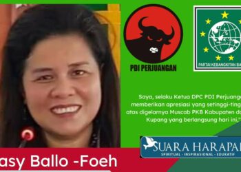 Suara Persaudaraan dari Kader Banteng untuk Muscab DPC PKB Kota dan Kabupaten Kupang