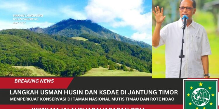 ​Langkah Usman Husin dan KSDAE di Jantung Timor: Memperkuat Konservasi di Taman Nasional Mutis Timau dan Rote Ndao