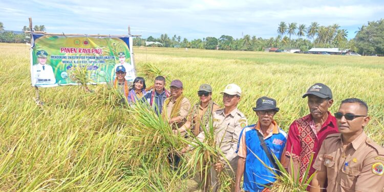 ​Merajut Sejahtera di Persawahan Mata Air, Kisah 60 Tahun Kelompok Tani Dahulu Rasa