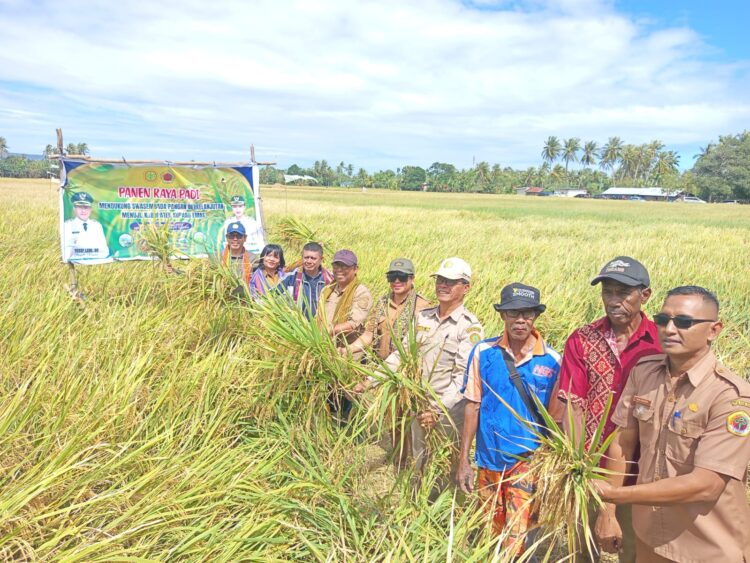 ​Merajut Sejahtera di Persawahan Mata Air, Kisah 60 Tahun Kelompok Tani Dahulu Rasa