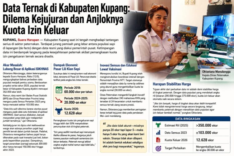 Yang Terjadi di Kabupaten Kupang, Antara Kejujuran Peternak dan Anjloknya Kuota Izin Keluar