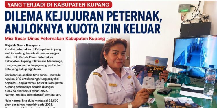 Yang Terjadi di Kabupaten Kupang, Dilema Kejujuran Peternak, Anjloknya Kuota Izin Keluar, dan Misi Besar Dinas Peternakan
