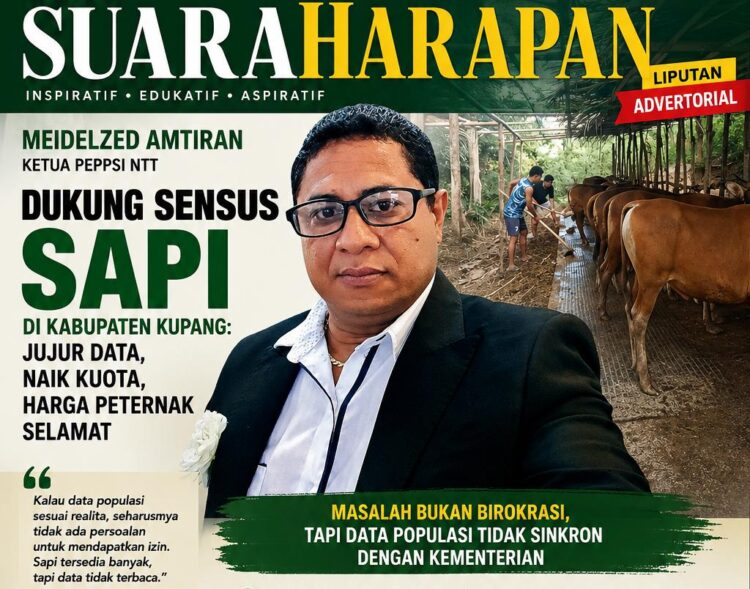 Meidelzed Amtiran, Ketua Peppsi NTT Dukung Sensus Sapi di Kabupaten Kupang: Jujur Data, Naik Kuota, Harga Peternak Selamat