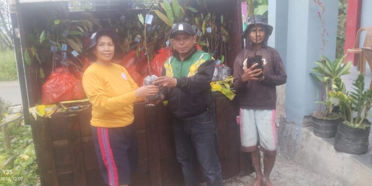 Aspirasi Usman Husin dan Babak Baru Budidaya Durian di Kabupaten Rote Ndao dan Kabupaten Timor Tengah Selatan